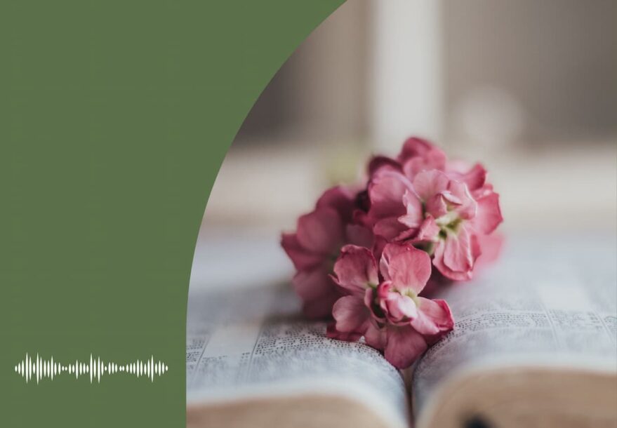 Un bouquet de fleur est déposé dans une bible ouverte représentant le lien entre l'environnement et la foi