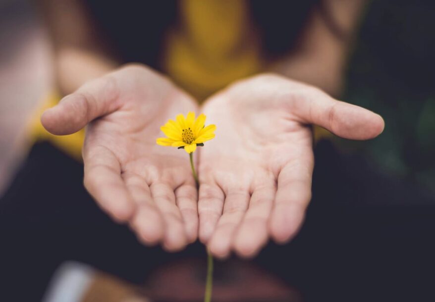 Une fleur jaune est au milieu de deux mains ouvertes.