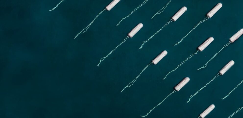 Une série de tampons pour les menstruations sont disposés en rangé.