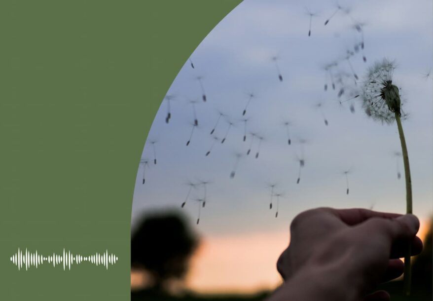 Un pissenlit qui s'envole au vent représentant le souffle du Saint-Esprit.