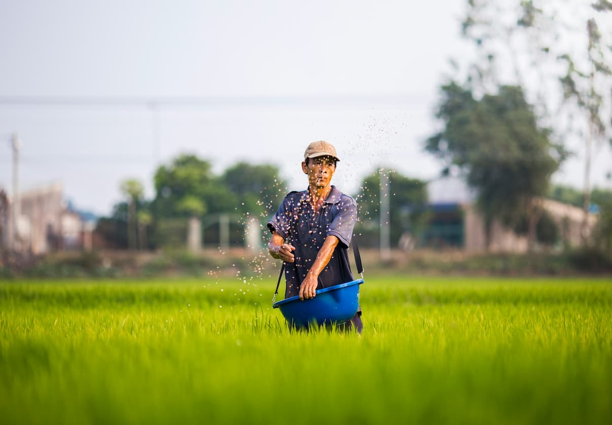 Un homme sème dans un champs comme un disciples aujourd'hui.
