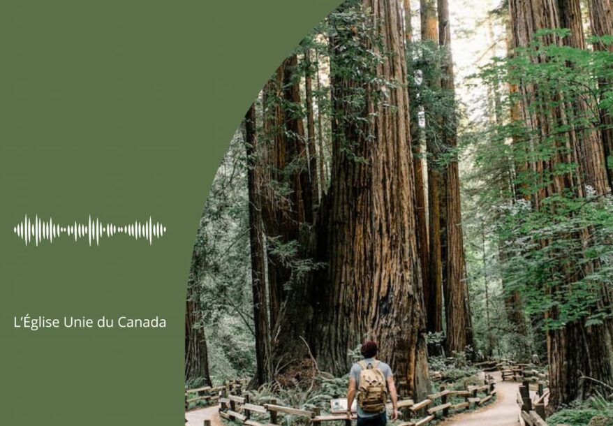 Un homme devant un chemin qui se sépare en deux, symbolisant les transitions de nos vies.