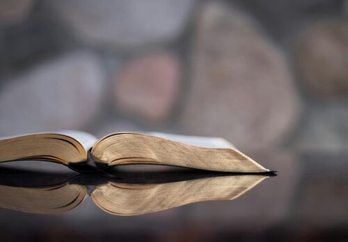 Un livre ouvert symbolisant la rentrée.